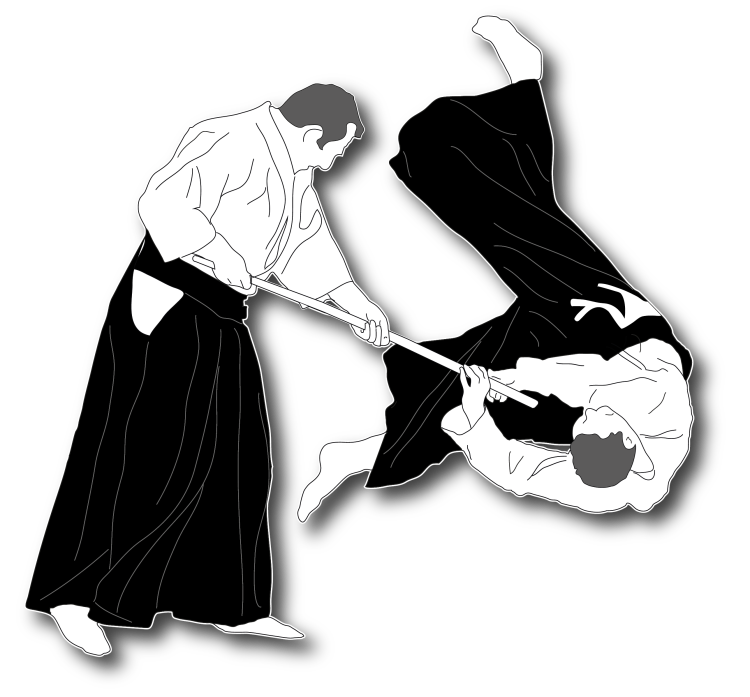 photos aikido